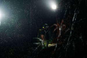 BIB: 
                            <button type="button" onclick="openModal(26294571)" class="btn btn-primary btn-sm float-right btn-popup" data-toggle="modal" data-target=".modal-high-quality">
                        <i class="fas fa-shopping-cart"></i> Add to Cart
                    </button>
                                            <button type="button" onclick="isThisMe(26294571, true)" class="btn btn-success btn-sm float-right btn-popup btn-isme hidden" data-toggle="tooltip" data-placement="bottom" title="นี่คือรูปของคุณใช่ไหม คลิกที่นี่เพื่อเอาเข้าอัลบั้ม">
                        <i class="fas fa-plus"></i> Add to album
                    </button>
                    <button type="button" onclick="isThisMe(26294571, false)" class="btn btn-warning btn-sm float-right btn-popup btn-isnotme hidden">
                        <i class="fas fa-ban"></i> Remove from album
                    </button>